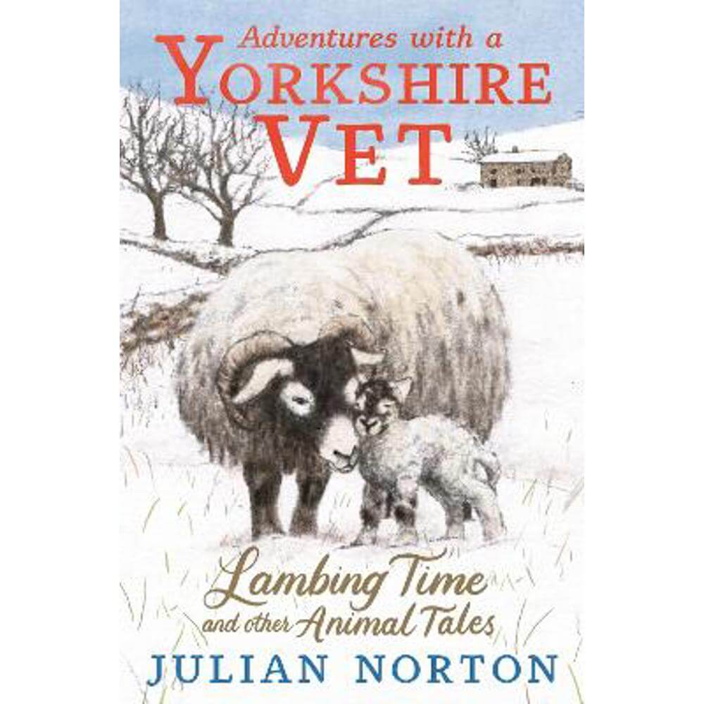 Adventures with a Yorkshire Vet: Lambing Time and Other Animal Tales (Hardback) - Julian Norton